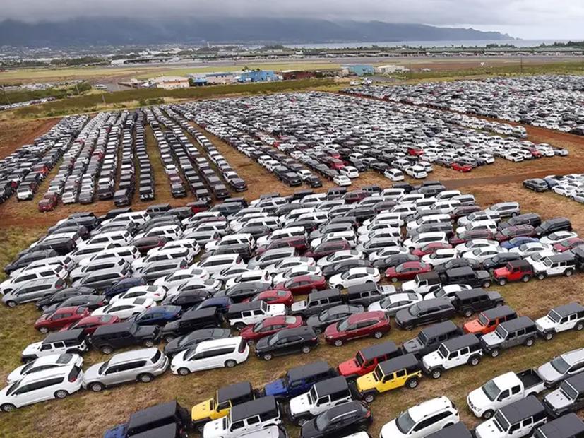 Những “nghĩa địa” &#244; t&#244; khổng lồ trong đại dịch Corona - Ảnh 10