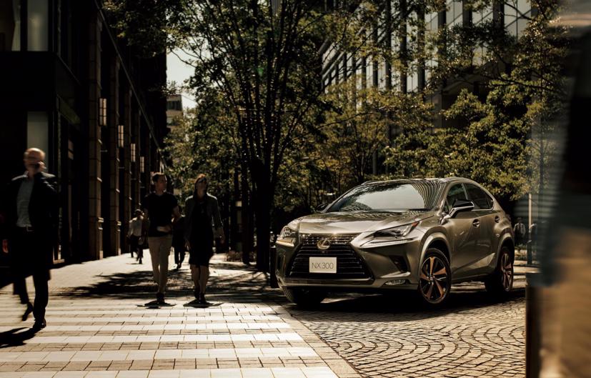 Gi&#225; lăn b&#225;nh Lexus NX300 phi&#234;n bản mới 2020 - Ảnh 1