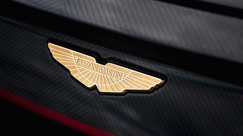 2 Logo dang cánh của Aston Martin gắn phía trước và sau xe được làm từ vàng 18 Carat. Ảnh: AutoBlog.