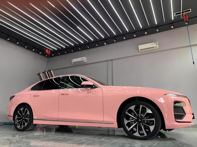 Những chiếc xe &#244; t&#244; VinFast m&#224;u sắc đẹp m&#234; ly - Ảnh 14