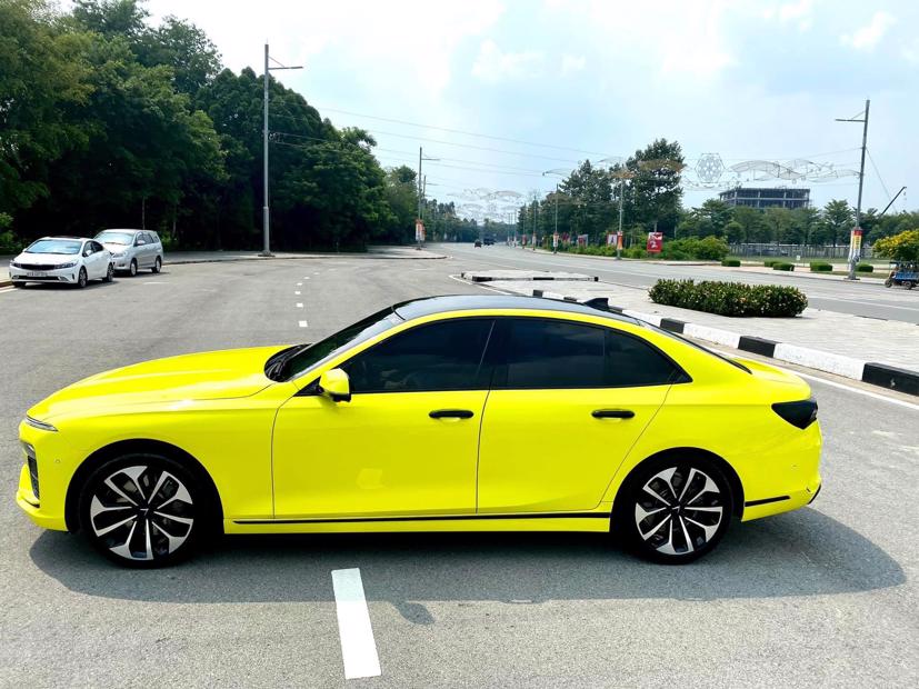Những chiếc xe &#244; t&#244; VinFast m&#224;u sắc đẹp m&#234; ly - Ảnh 15