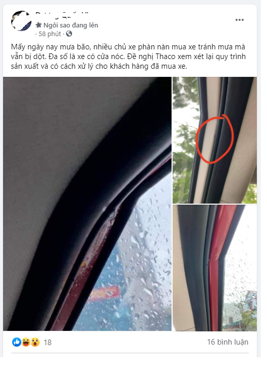 Một người dùng phản ánh về hiện tượng Kia Seltos bị dột mưa, và đề nghị Thaco xem xét lại quy trình sản xuất, có cách xử lý cho khách hàng đã mua xe. Ảnh chụp màn hình