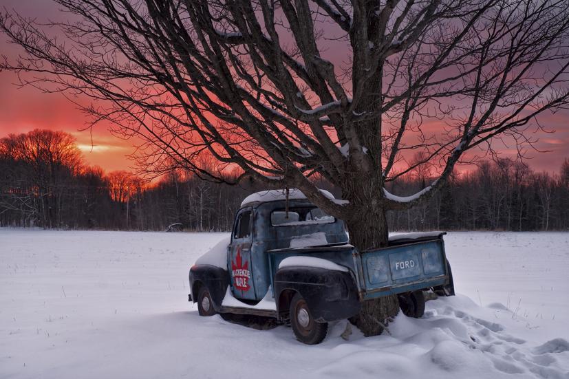 Số phận buồn của những chiếc b&#225;n tải bị bỏ qu&#234;n! - Ảnh 5