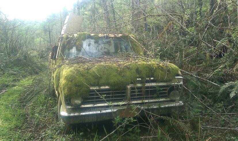 Số phận buồn của những chiếc b&#225;n tải bị bỏ qu&#234;n! - Ảnh 14