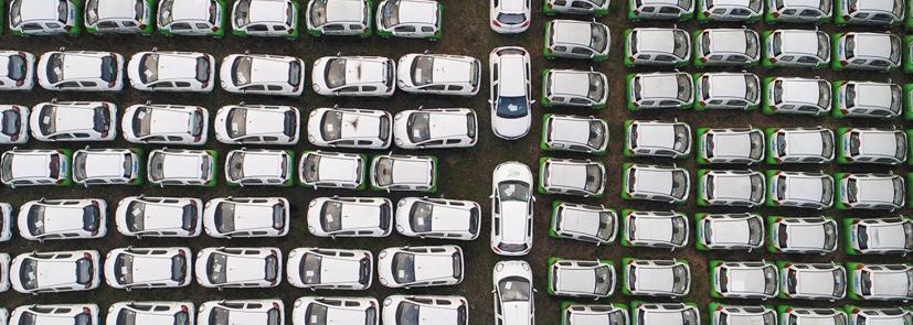 Xe ô tô màu trắng phổ biến nhất trên thế giới