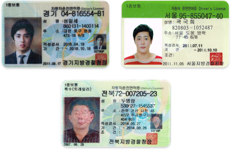 Bộ trưởng Bộ GTVT Nguyễn Văn Thể cho biết, Bộ này sẽ làm việc với các Bộ, ngành liên quan và sớm trình Chính phủ việc công nhận giấy phép lái xe của Hàn Quốc tại Việt Nam.