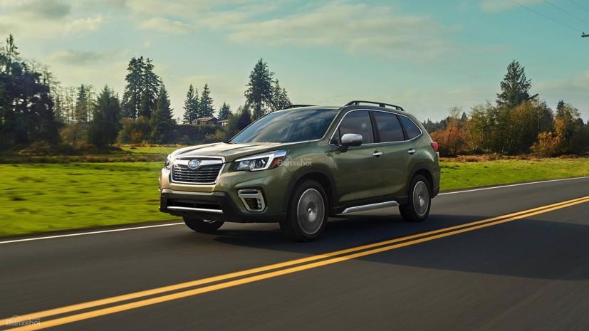 Subaru Forester là dòng xe được nhập khẩu về Việt Nam từ tháng 6/2019.