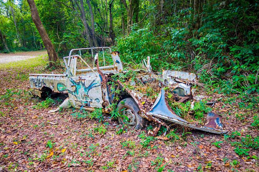 Số phận buồn của những chiếc b&#225;n tải bị bỏ qu&#234;n! - Ảnh 2