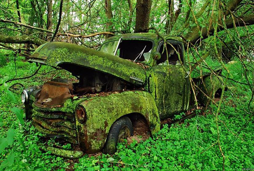 Số phận buồn của những chiếc b&#225;n tải bị bỏ qu&#234;n! - Ảnh 13