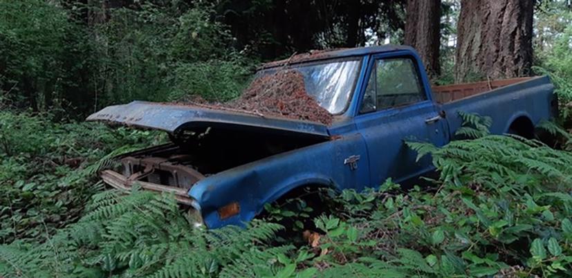 Số phận buồn của những chiếc b&#225;n tải bị bỏ qu&#234;n! - Ảnh 11