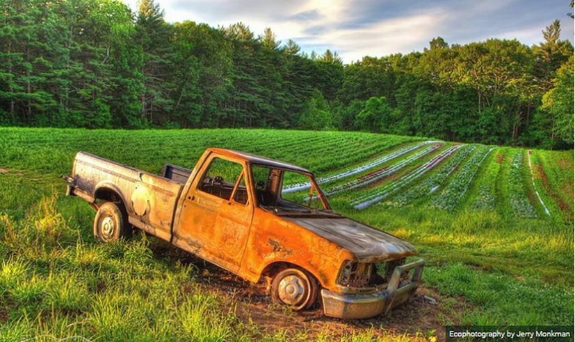 Số phận buồn của những chiếc b&#225;n tải bị bỏ qu&#234;n! - Ảnh 3