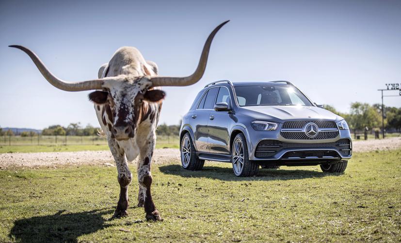 GLE là sự thay thế hoàn hảo cho đàn anh GLS.